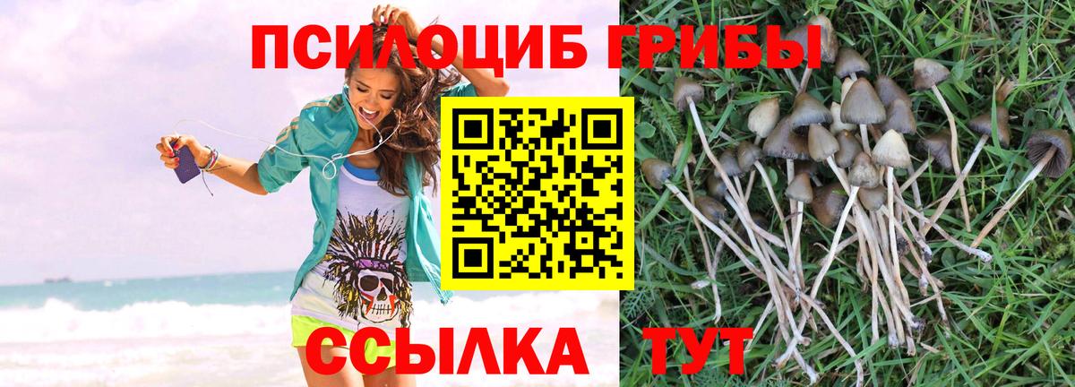 Якутск  Галлюциногенные грибы мухоморы  Вход с VPN 